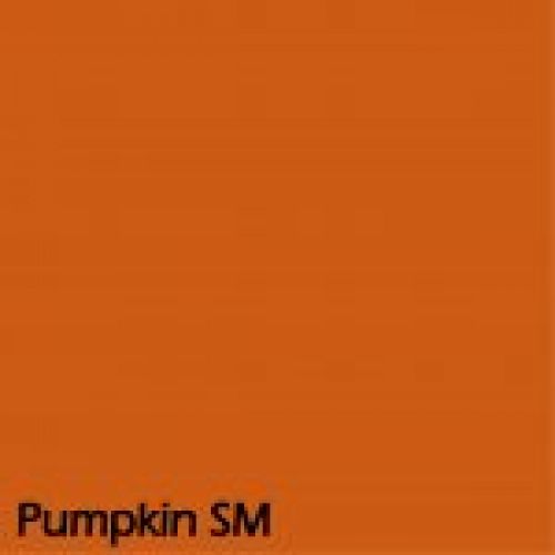 Pumpkin SM