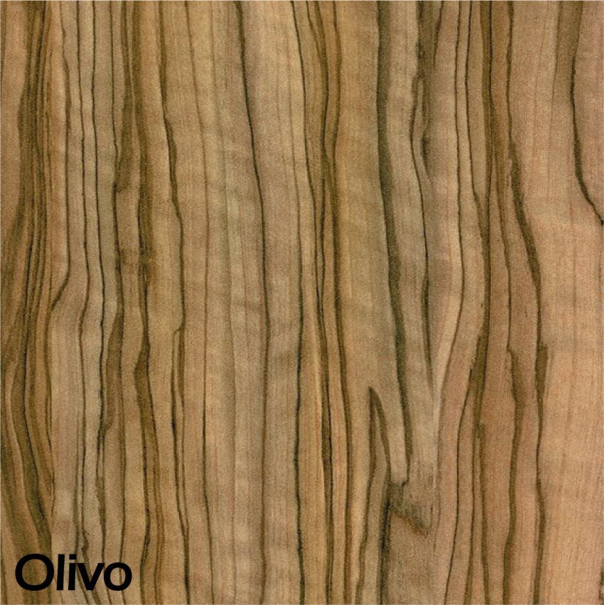 Olivo