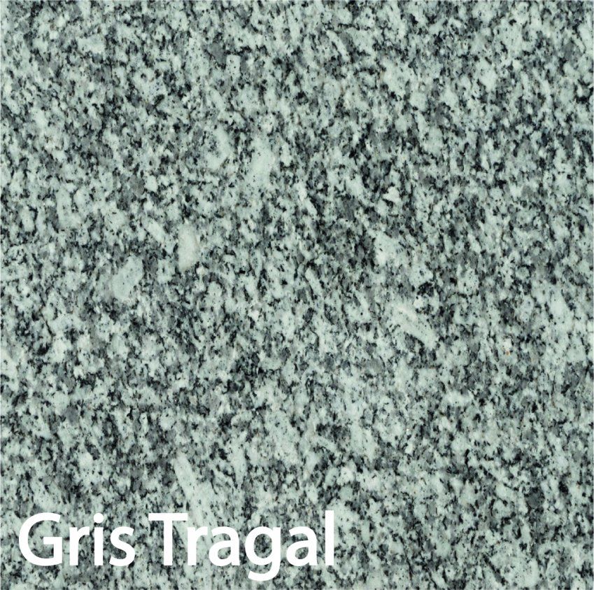 Gris Tragal