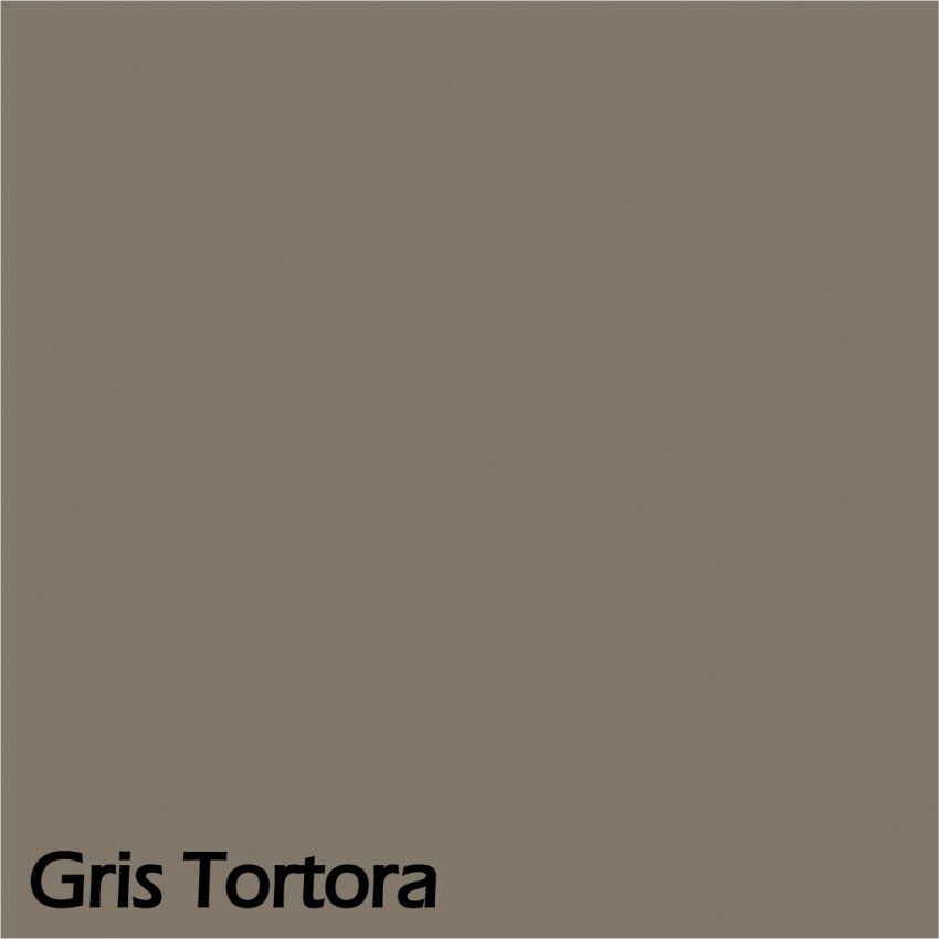 Gris Tortora