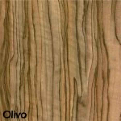 Olivo