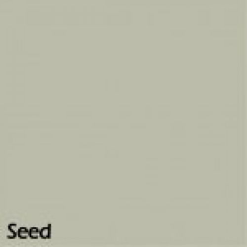 Seed