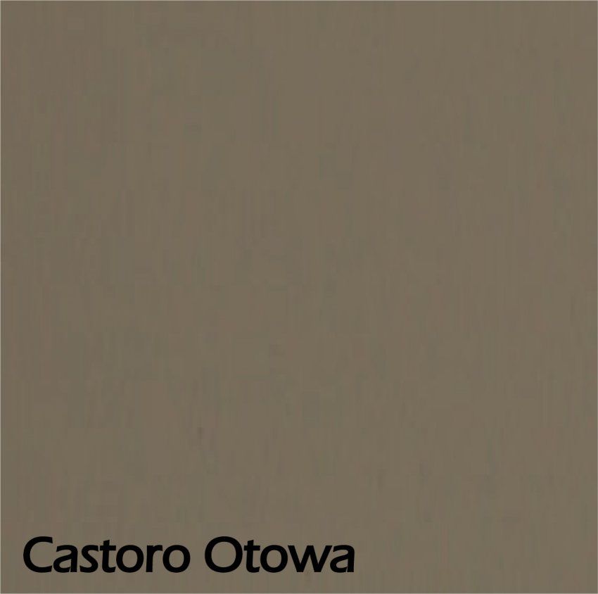 Castoro Otowa