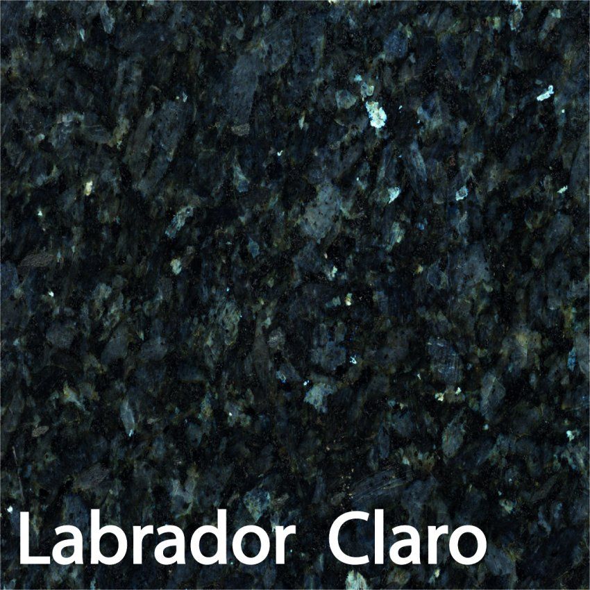 Labrador Claro