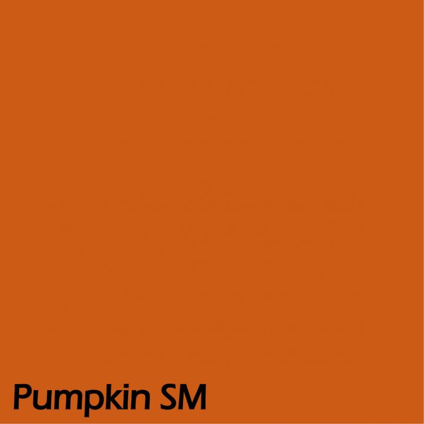 Pumpkin SM