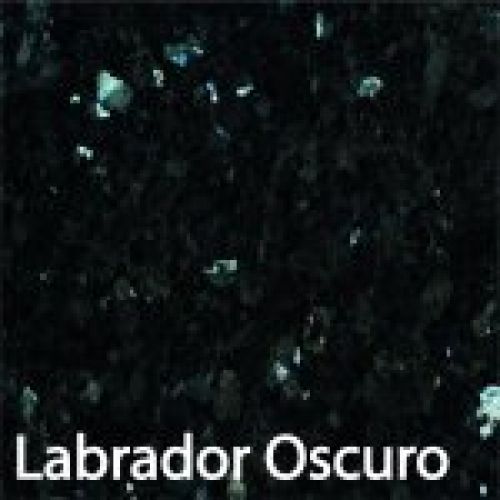 Labrador Oscuro