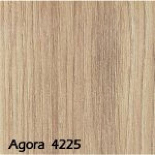 AGORA 4225